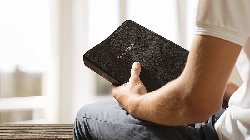 The Promise of Taking the Bible Seriously