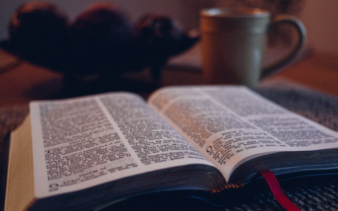 Reading the Bible for Insight, Encouragement, and/or Guidance (Devotional Reading)
